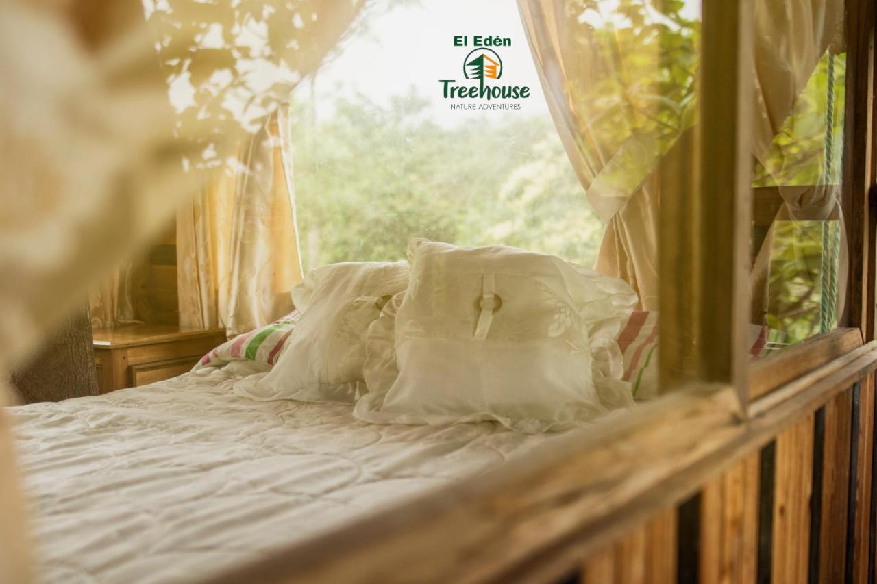 Eden Treehouse Villa Mindo Eksteriør billede