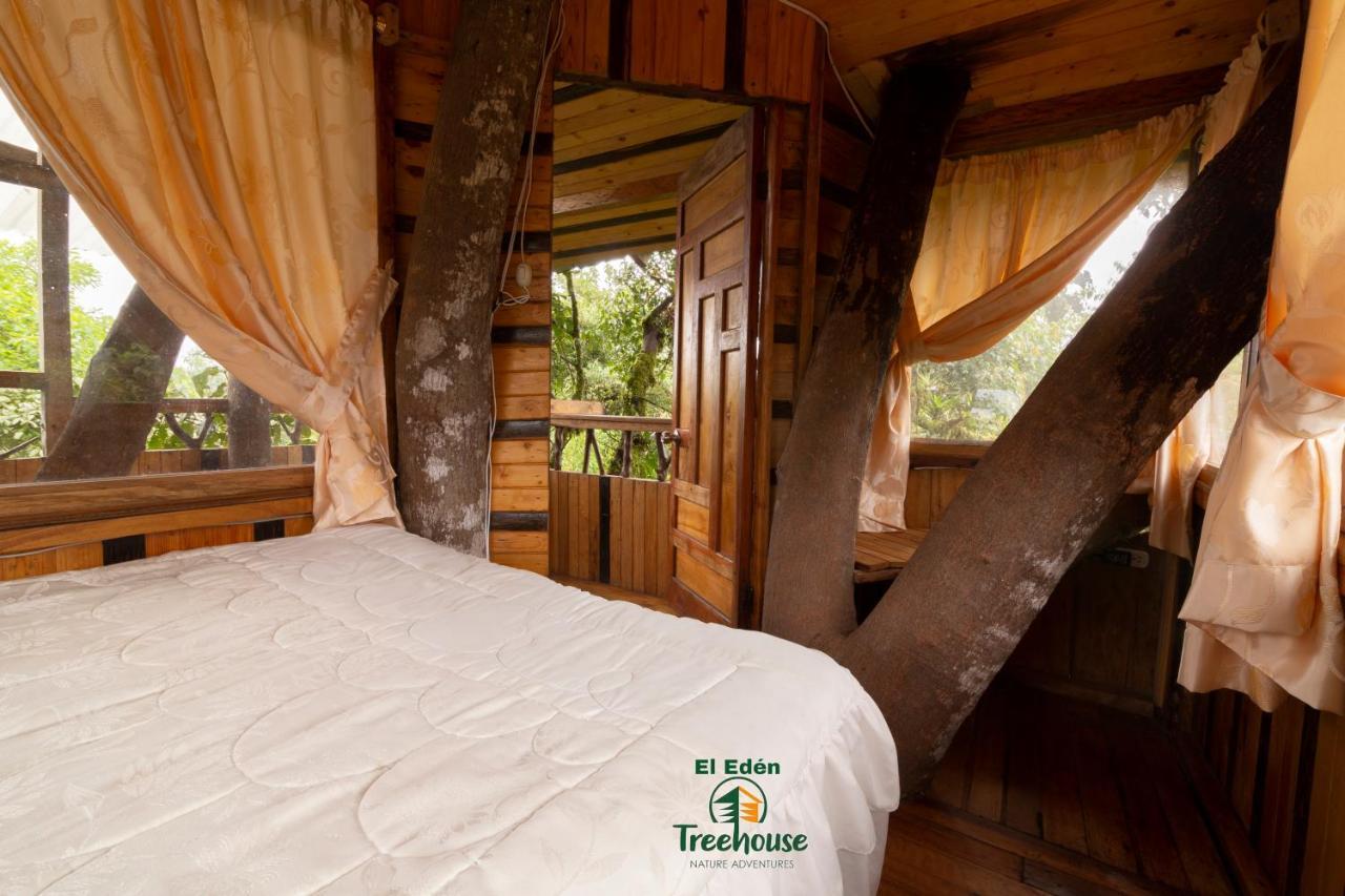 Eden Treehouse Villa Mindo Eksteriør billede