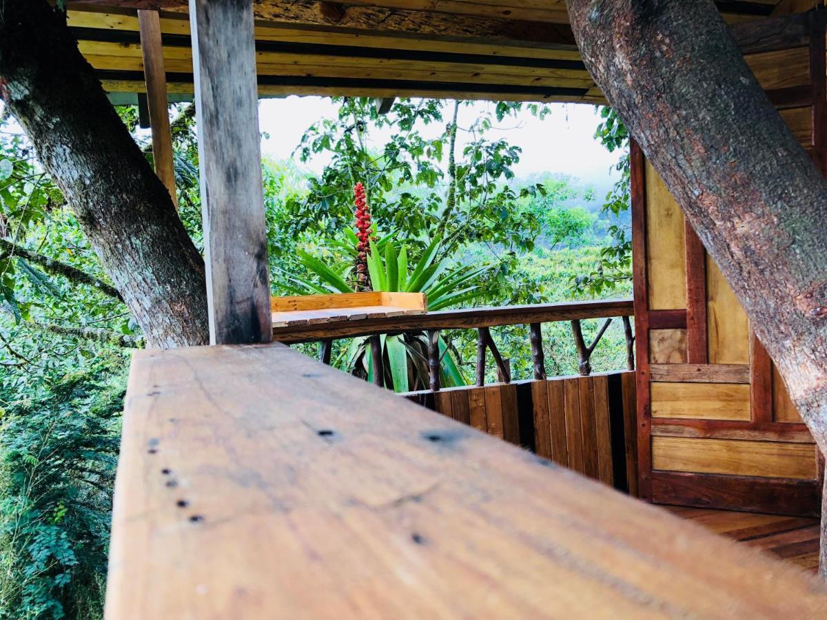 Eden Treehouse Villa Mindo Eksteriør billede