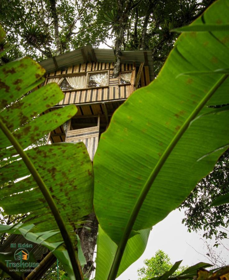 Eden Treehouse Villa Mindo Eksteriør billede