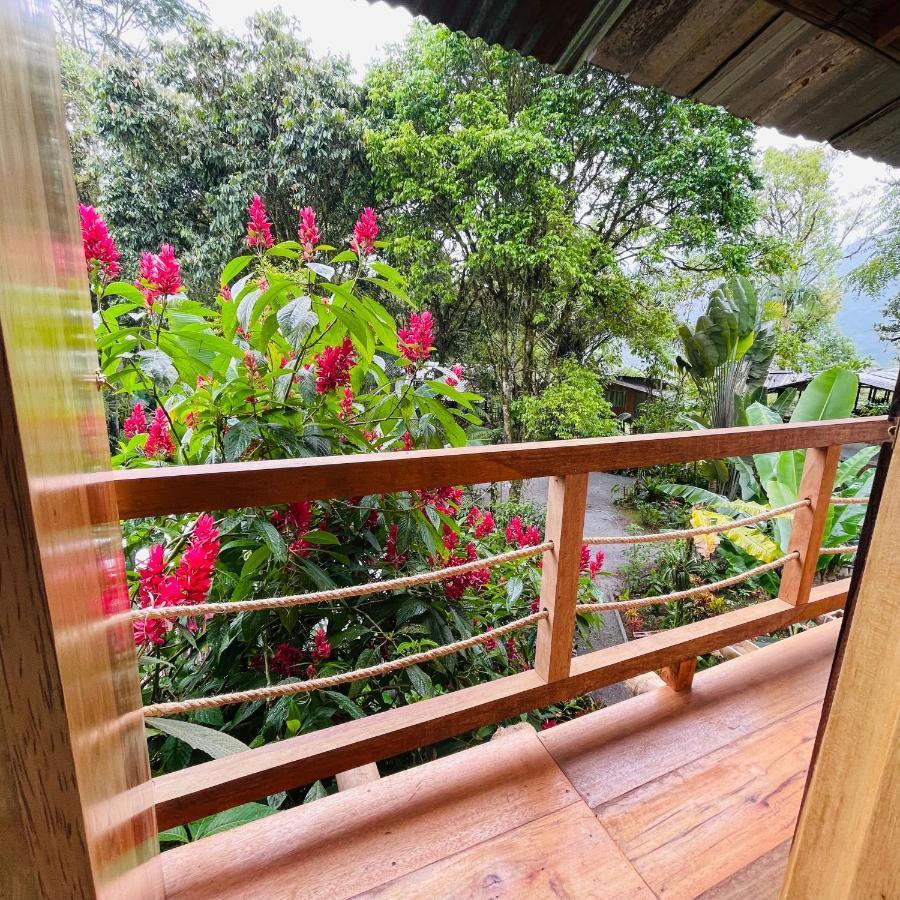 Eden Treehouse Villa Mindo Eksteriør billede