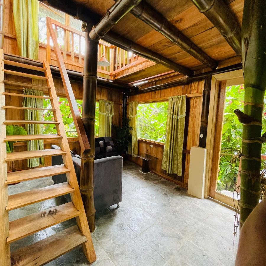 Eden Treehouse Villa Mindo Eksteriør billede