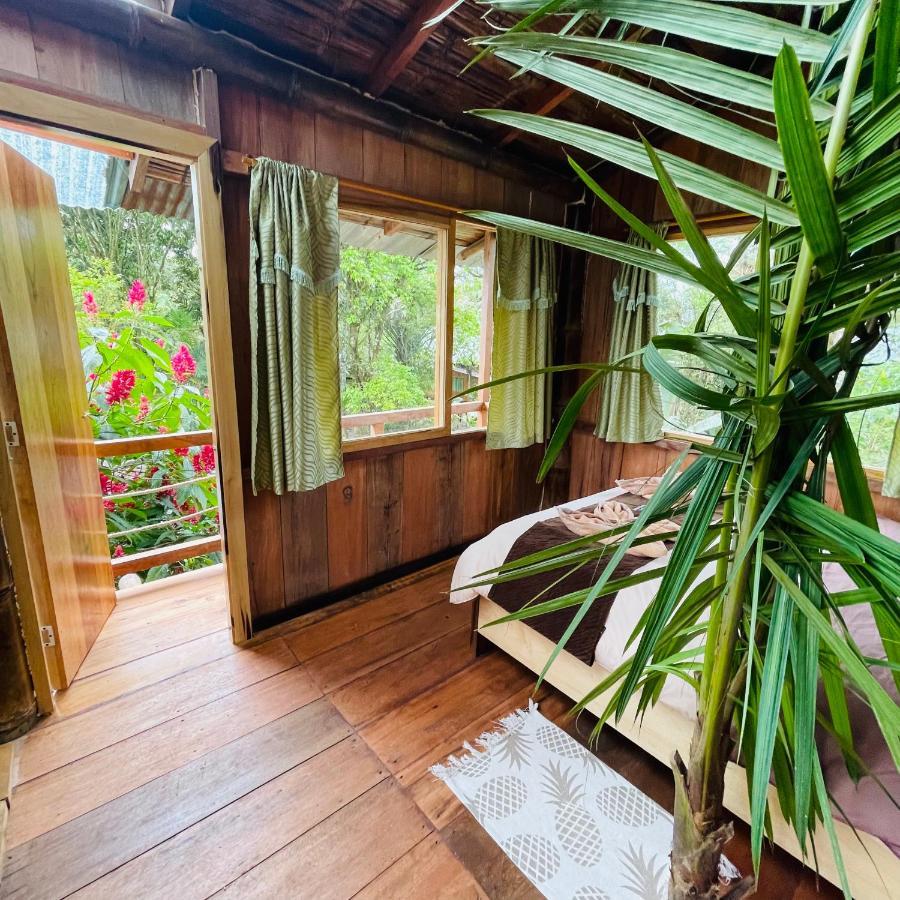 Eden Treehouse Villa Mindo Eksteriør billede