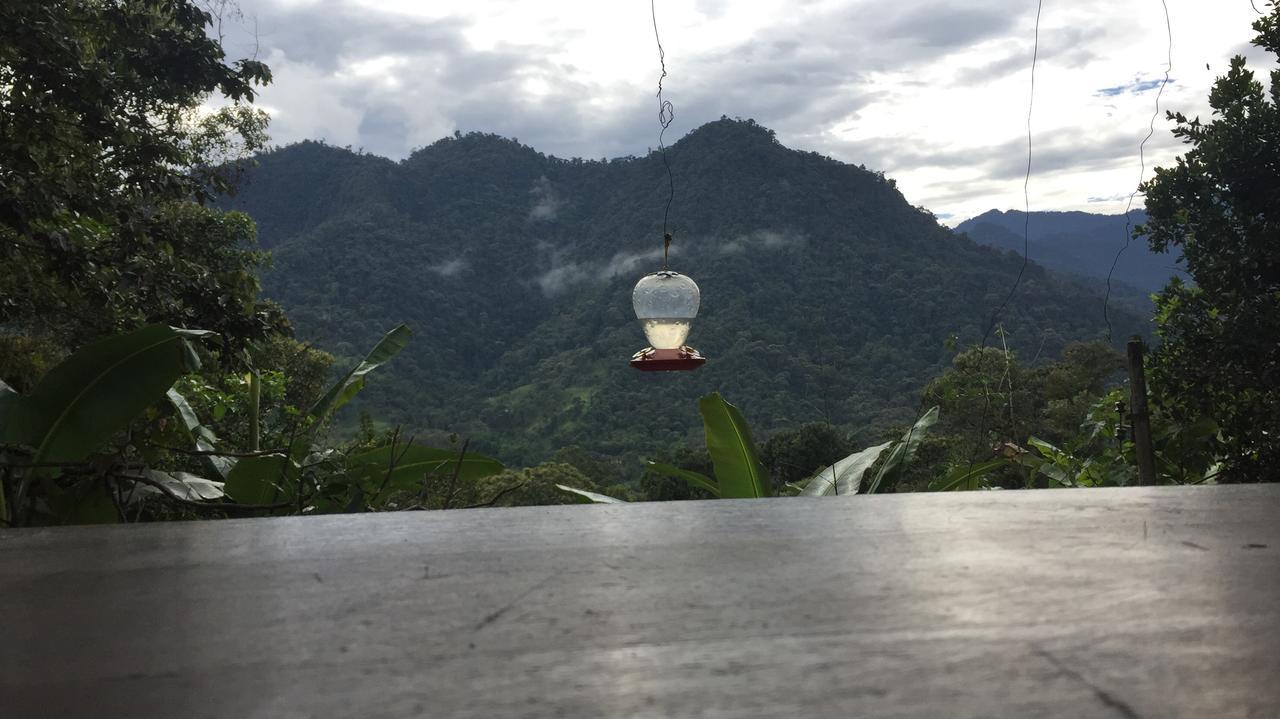 Eden Treehouse Villa Mindo Eksteriør billede