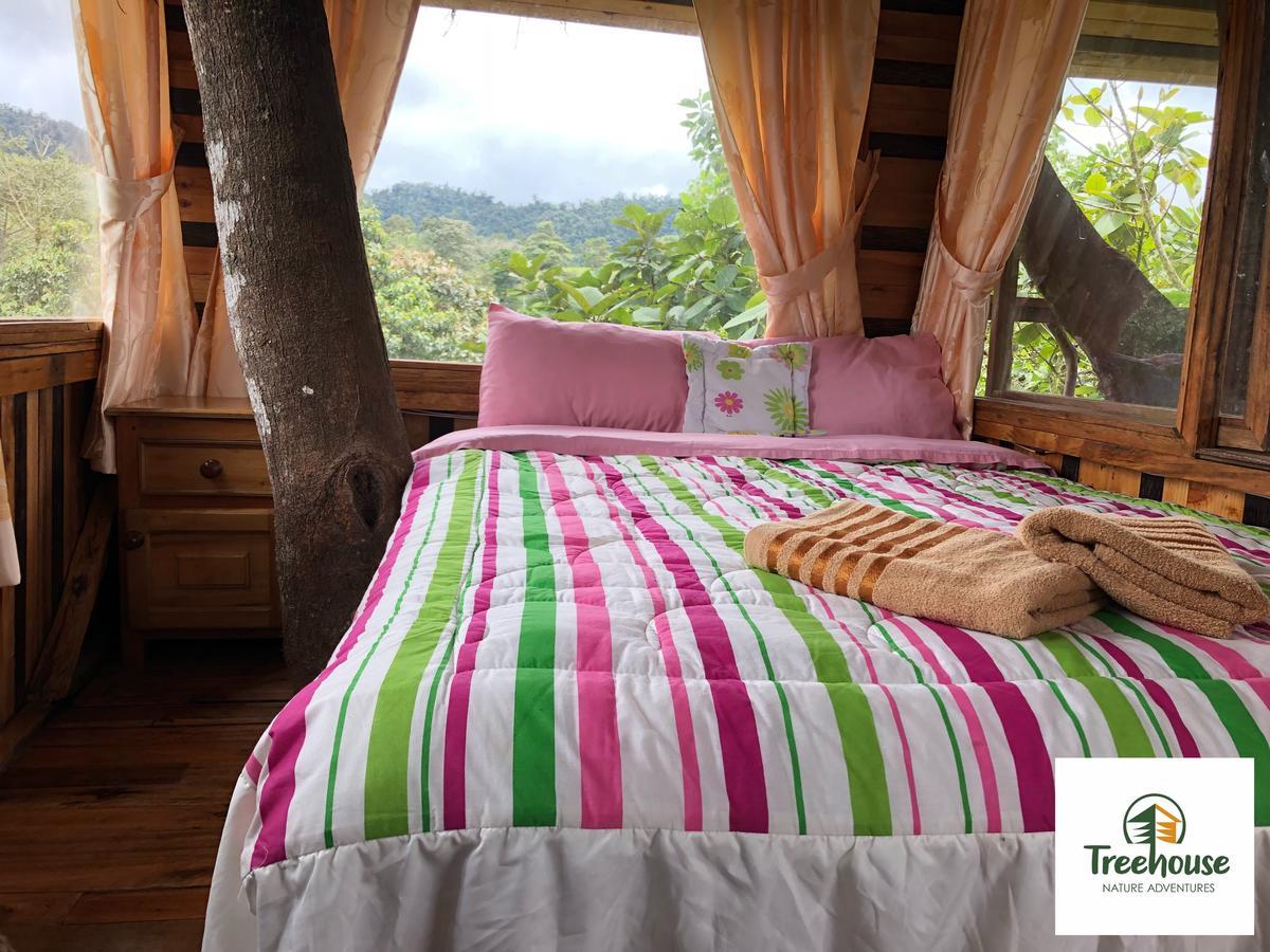 Eden Treehouse Villa Mindo Eksteriør billede