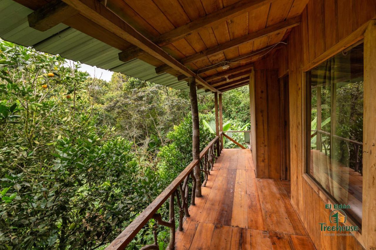 Eden Treehouse Villa Mindo Eksteriør billede