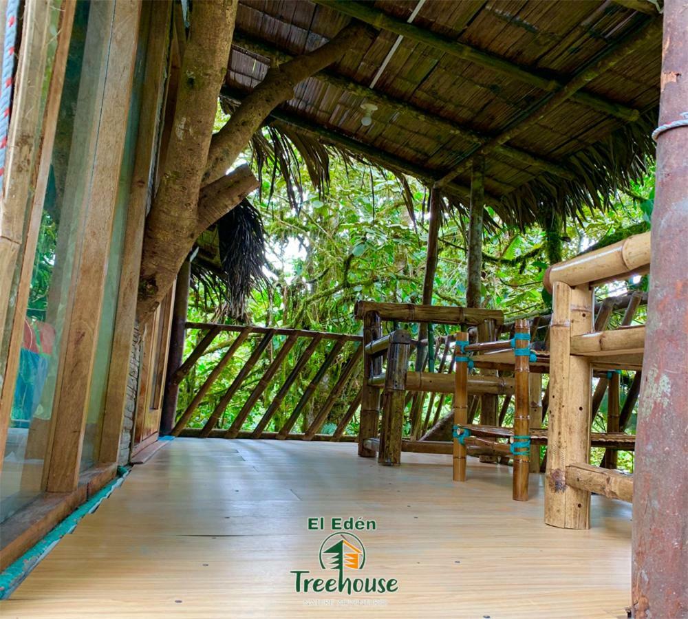 Eden Treehouse Villa Mindo Eksteriør billede