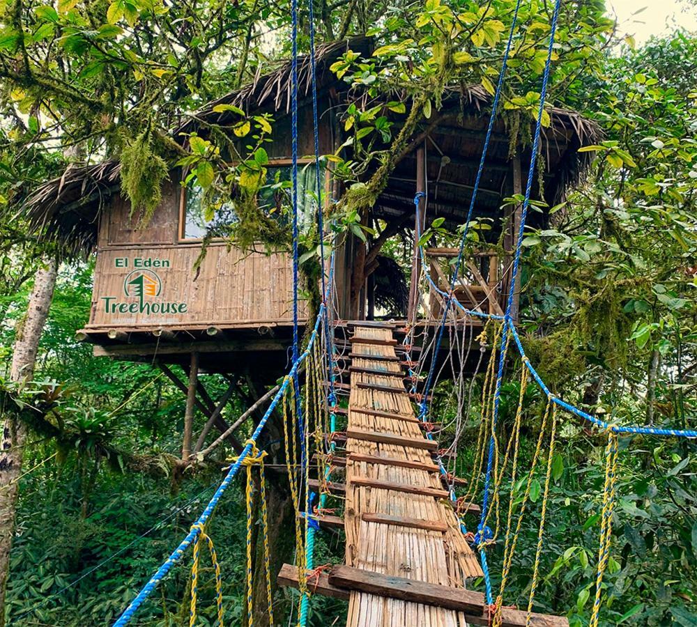 Eden Treehouse Villa Mindo Eksteriør billede