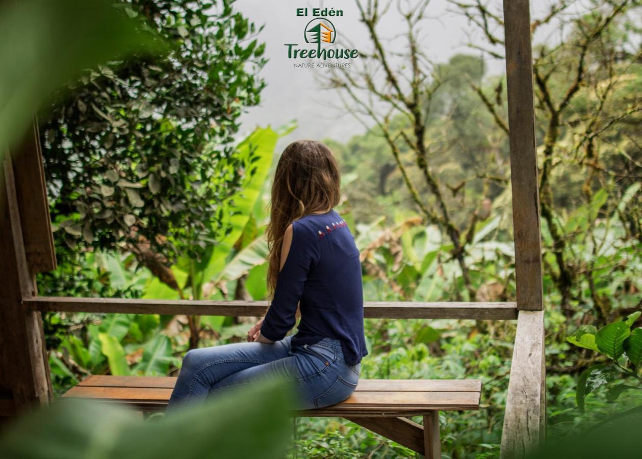 Eden Treehouse Villa Mindo Eksteriør billede